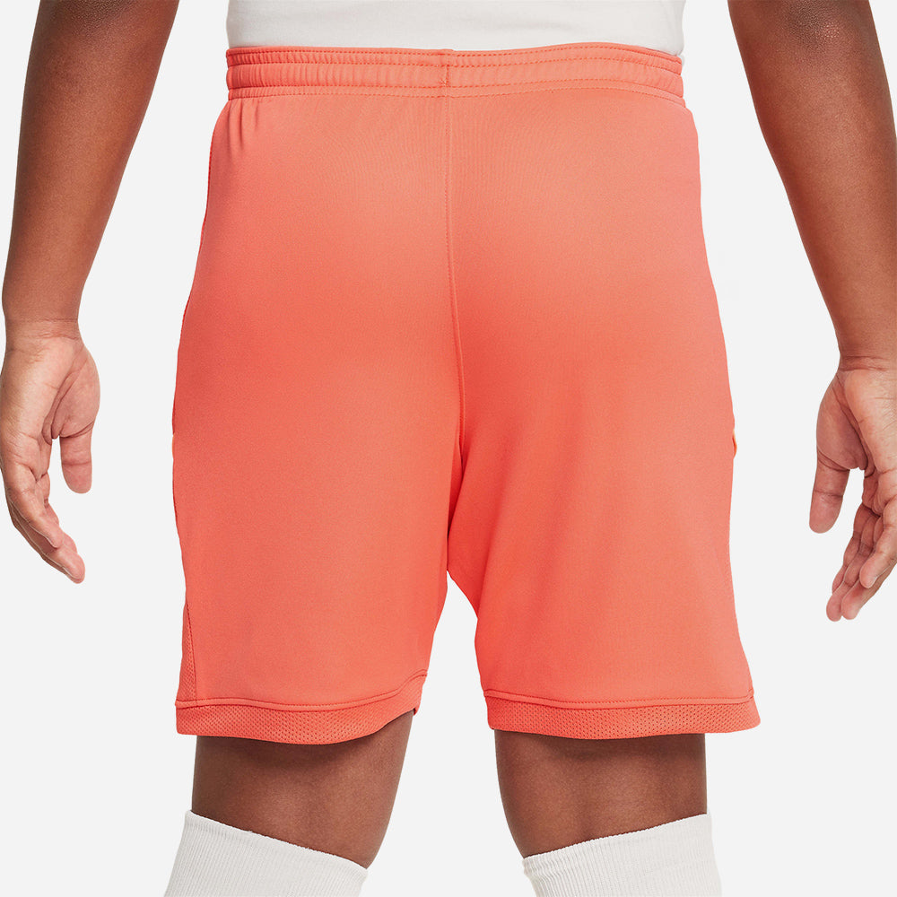 Quần Ngắn Trẻ Em Nike Dri-Fit Erling Haaland Academy 25 - Cam San Hô - Supersports Vietnam