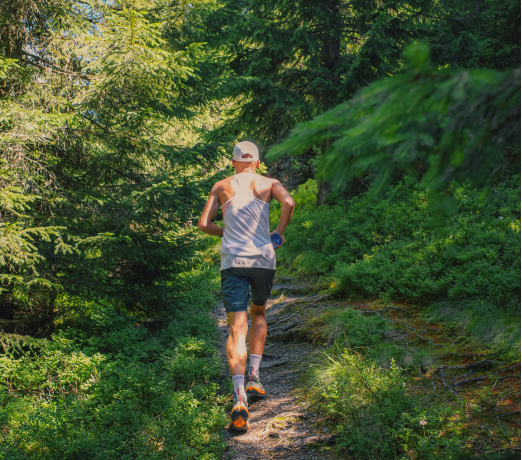 Chạy Trail Khi Chưa Có Nền Tảng Thể Lực: Bắt Đầu Từ Đâu?