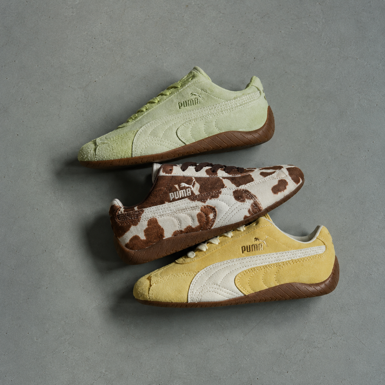 Hướng Dẫn Chọn Size Giày Puma Chính Hãng Chi Tiết Nhất