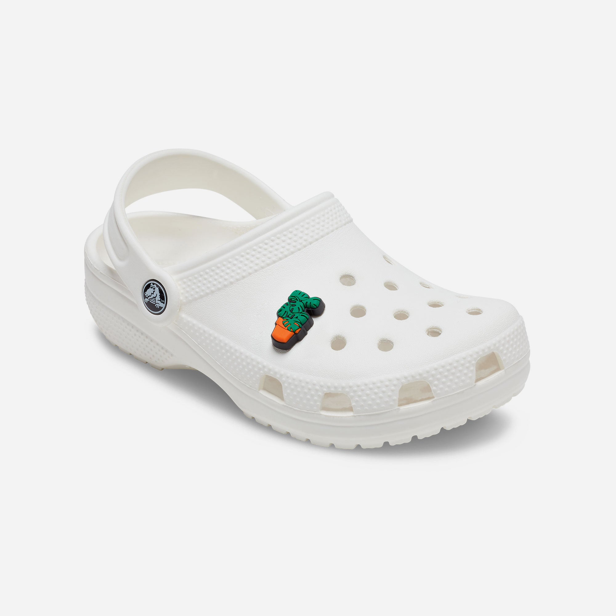 plant crocs monstera Jibbitz™ Charm Monstera Plant 10010181 – Supersports Vietnam