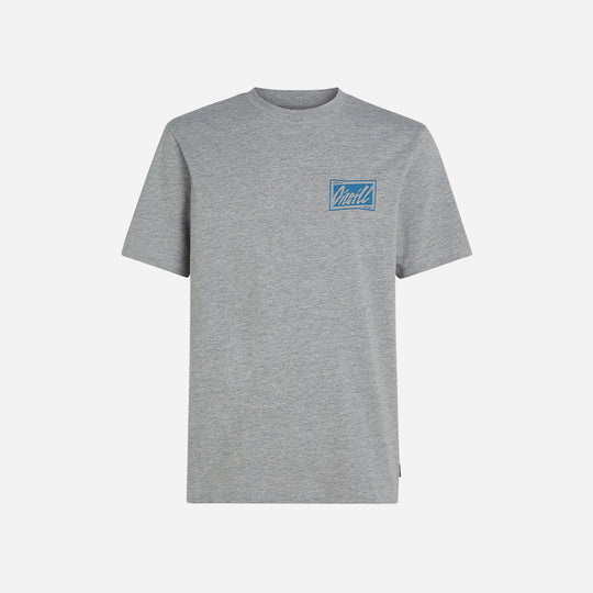 Men's O'Neill Beach Graphic T-Shirt - Gray