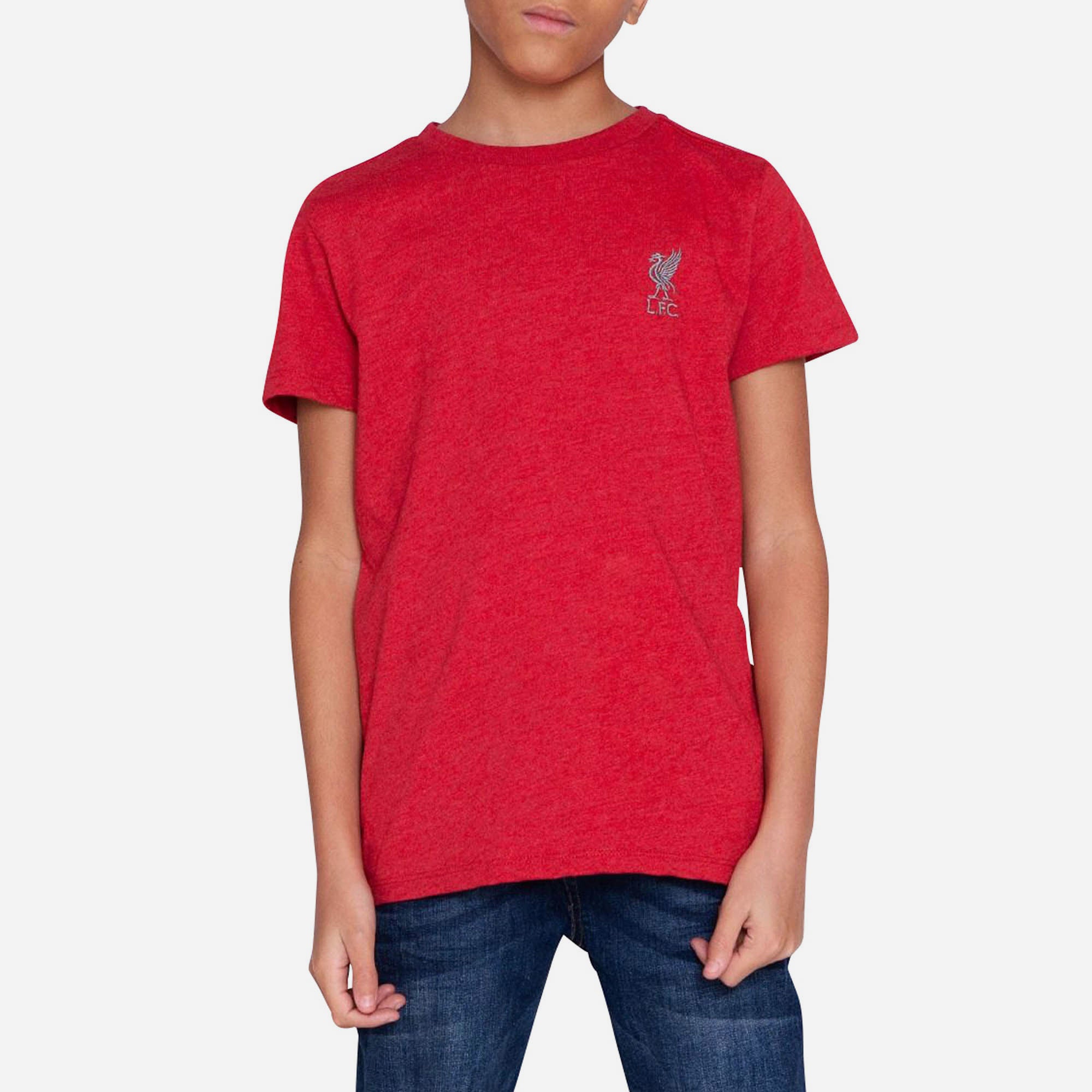 Áo Thun Trẻ Em LFC Red Marl Liverbird Embroidered hover