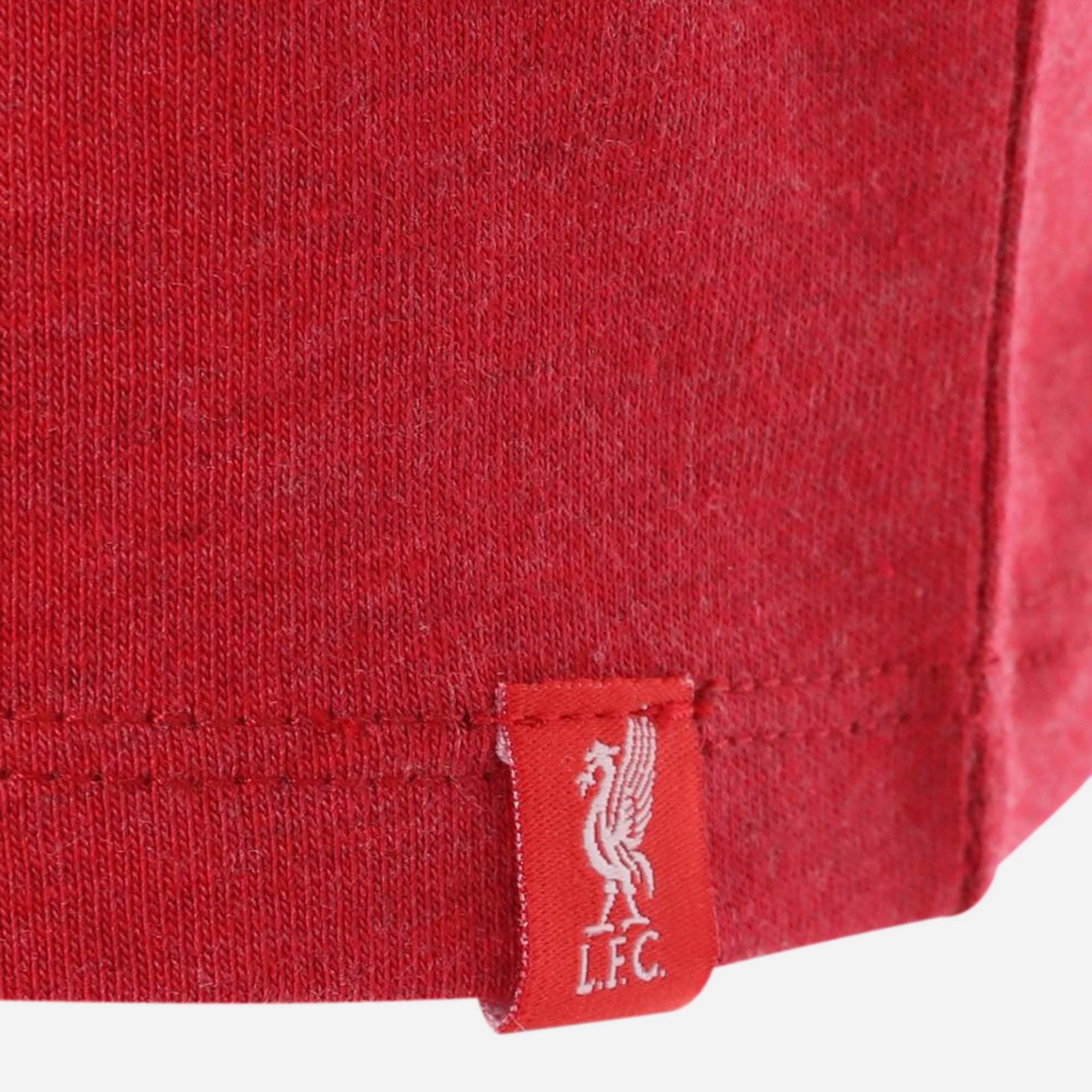 Áo Thun Trẻ Em Lfc Red Marl Liverbird Embroidered - Supersports Vietnam